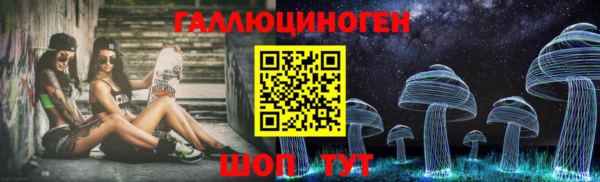 Псилоцибиновые грибы прущие грибы  Вход с VPN  Богданович 